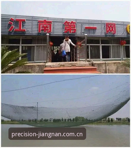 江南体育中国区官方入口怎么下载 江南体育中国区官方入口下载全面解析:从用户反馈到体验升级的真实路径